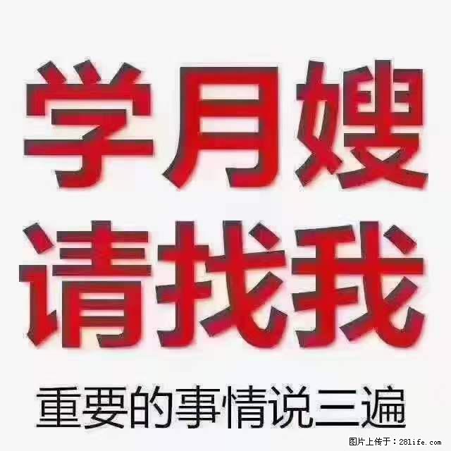 为什么要学习月嫂，育婴师？ - 其他广告 - 广告专区 - 漳州分类信息 - 漳州28生活网 zhangzhou.28life.com