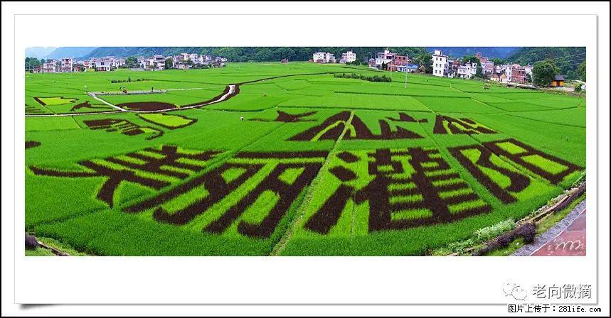 【春天,广西桂林灌阳县向您发出邀请!】开篇 - 游山玩水 - 漳州生活社区 - 漳州28生活网 zhangzhou.28life.com