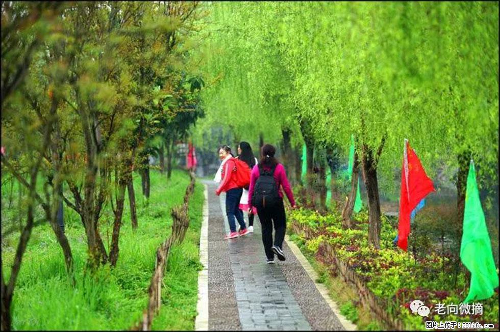 【春天,广西桂林灌阳县向您发出邀请!】江口老街又逢春 - 游山玩水 - 漳州生活社区 - 漳州28生活网 zhangzhou.28life.com