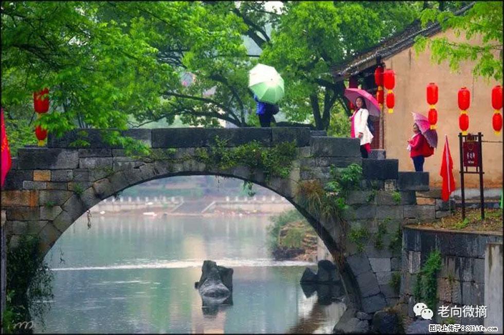 【春天,广西桂林灌阳县向您发出邀请!】江口老街又逢春 - 游山玩水 - 漳州生活社区 - 漳州28生活网 zhangzhou.28life.com