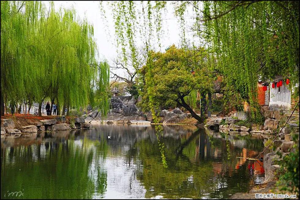 【春天,广西桂林灌阳县向您发出邀请!】江口老街又逢春 - 游山玩水 - 漳州生活社区 - 漳州28生活网 zhangzhou.28life.com
