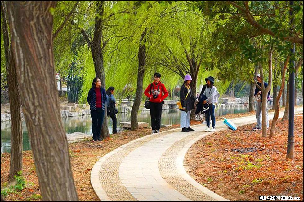 【春天,广西桂林灌阳县向您发出邀请!】江口老街又逢春 - 游山玩水 - 漳州生活社区 - 漳州28生活网 zhangzhou.28life.com