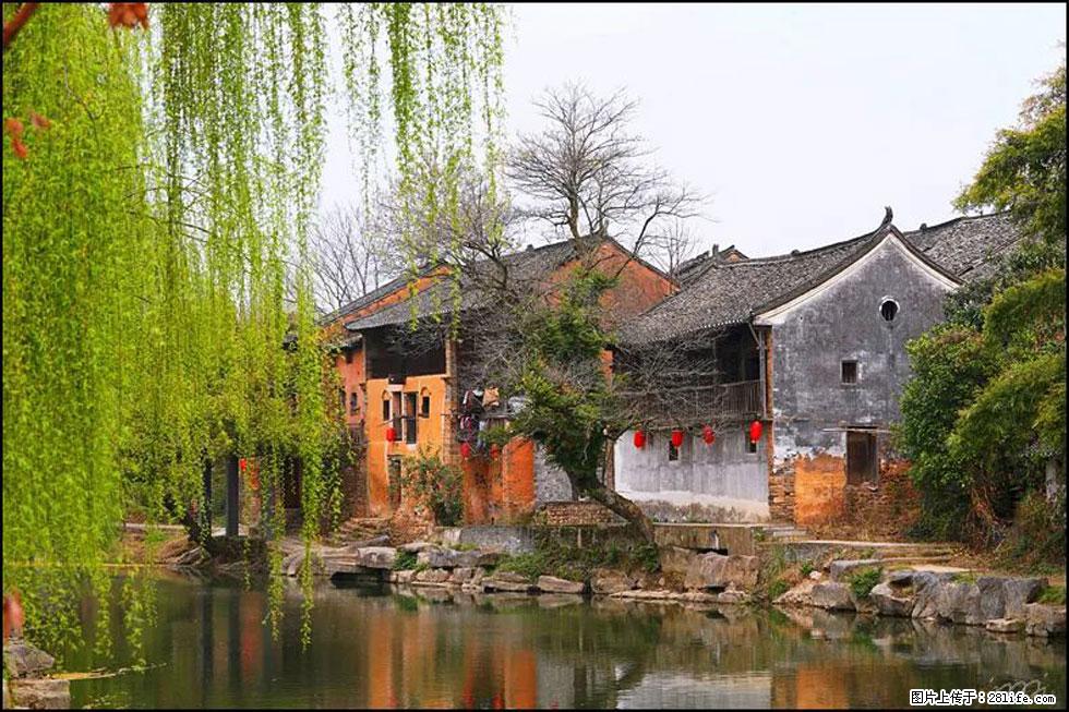 【春天,广西桂林灌阳县向您发出邀请!】江口老街又逢春 - 游山玩水 - 漳州生活社区 - 漳州28生活网 zhangzhou.28life.com