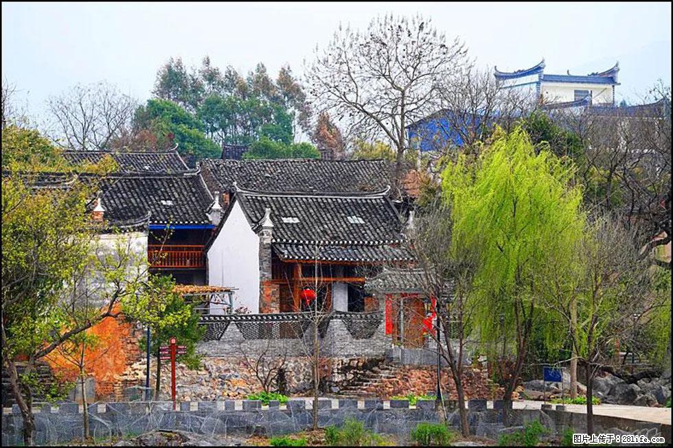 【春天,广西桂林灌阳县向您发出邀请!】江口老街又逢春 - 游山玩水 - 漳州生活社区 - 漳州28生活网 zhangzhou.28life.com