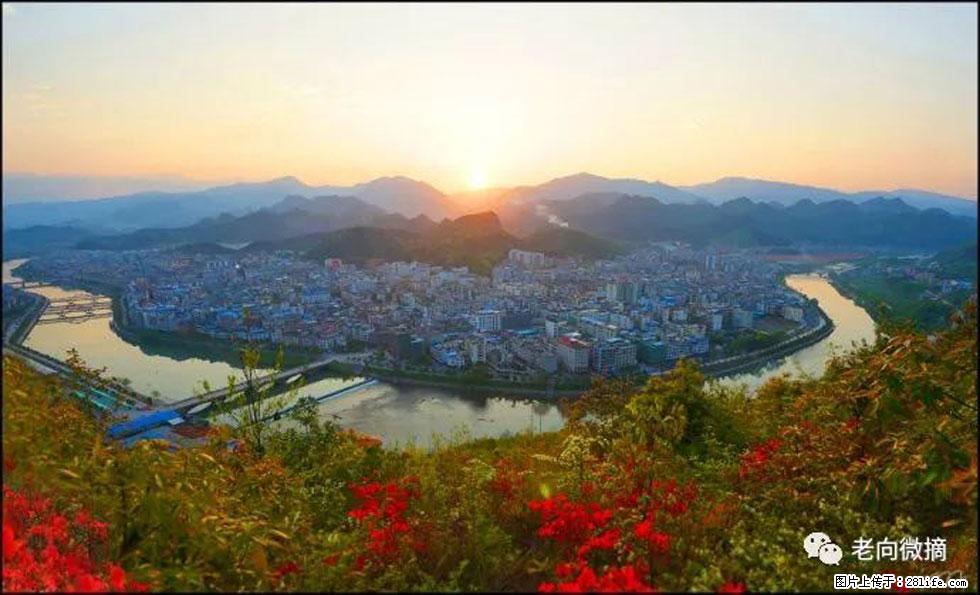 【春天,广西桂林灌阳县向您发出邀请!】登麒麟山,相约映山红 - 游山玩水 - 漳州生活社区 - 漳州28生活网 zhangzhou.28life.com