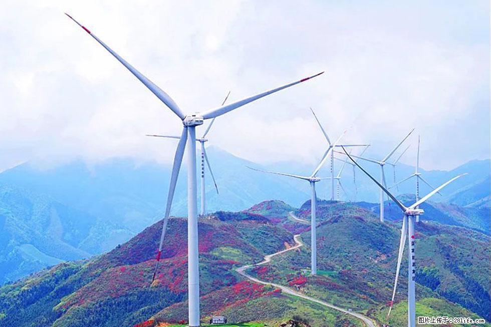 【春天,广西桂林灌阳县向您发出邀请!】春木界上映山红 - 游山玩水 - 漳州生活社区 - 漳州28生活网 zhangzhou.28life.com