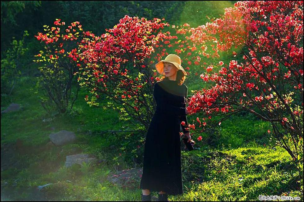 【春天,广西桂林灌阳县向您发出邀请!】春木界上映山红 - 游山玩水 - 漳州生活社区 - 漳州28生活网 zhangzhou.28life.com