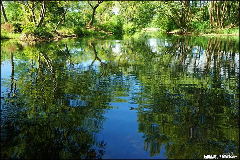 【春天,广西桂林灌阳县向您发出邀请!】熊家寨湿地公园 - 游山玩水 - 漳州生活社区 - 漳州28生活网 zhangzhou.28life.com