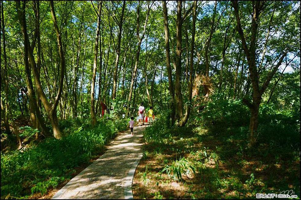 【春天,广西桂林灌阳县向您发出邀请!】熊家寨湿地公园 - 游山玩水 - 漳州生活社区 - 漳州28生活网 zhangzhou.28life.com
