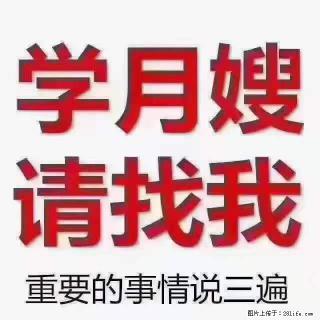 为什么要学习月嫂,育婴师? - 漳州28生活网 zhangzhou.28life.com