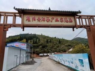 【灌阳县油茶产业示范区】一个有着充实的精神生活的人,对待身外之物自会有一种淡泊的态度 - 漳州28生活网 zhangzhou.28life.com