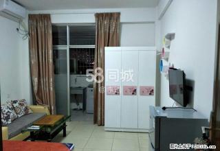 东方明珠花园 1室1厅1卫 - 漳州28生活网 zhangzhou.28life.com