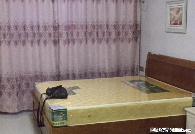 万达旁碧洲园精装修正套公寓出租 多套 看房方便翰苑颐园下州 - 房屋出租 - 房屋租售 - 漳州分类信息 - 漳州28生活网 zhangzhou.28life.com