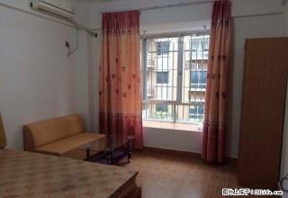 钱隆学府卓越(福隆城旁)单身公寓出租 - 漳州28生活网 zhangzhou.28life.com