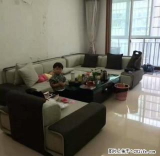 漳浦龙成尊庭 3室2厅120平米 精装修 押一付三 - 漳州28生活网 zhangzhou.28life.com