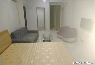 万达翰苑颐园下洲花园多套正套单身公寓拎包入住 - 漳州28生活网 zhangzhou.28life.com