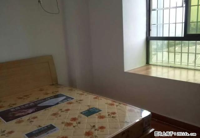 个人房屋 阳光 莘园 卓 瑞景城多套单身公寓550元起可月付 - 房屋出租 - 房屋租售 - 漳州分类信息 - 漳州28生活网 zhangzhou.28life.com
