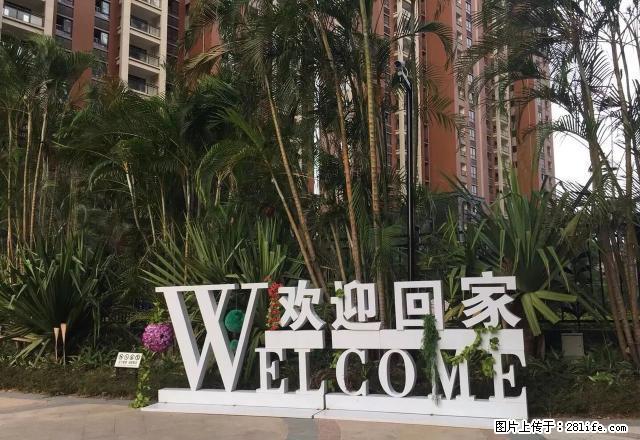 全新个人多套一房一卫一阳台650元起租可做饭 可月付 短租 - 房屋出租 - 房屋租售 - 漳州分类信息 - 漳州28生活网 zhangzhou.28life.com