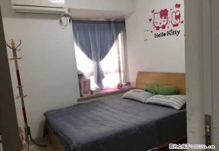 九龙公园旁《0596》《丽园君悦》《九龙城》全新家具 - 漳州28生活网 zhangzhou.28life.com