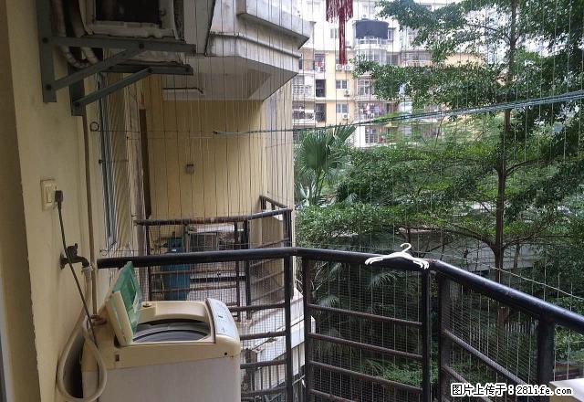 首页 漳州分类信息 房屋租售 房屋出租 > 新市中心君临天下丽园君悦