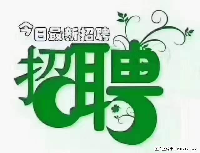 【招聘摄像师】待遇:试用期6000元/月,转正7000元/月+五险一金+餐补+节日福利+奖金 - 职场交流 - 漳州生活社区 - 漳州28生活网 zhangzhou.28life.com