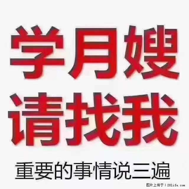 【招聘】月嫂,上海徐汇区 - 职场交流 - 漳州生活社区 - 漳州28生活网 zhangzhou.28life.com