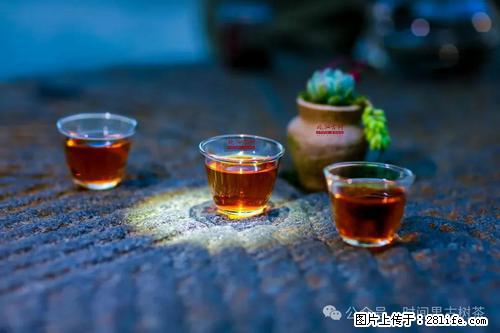 时间果百年古树2025年春红茶 - 购物交流 - 漳州生活社区 - 漳州28生活网 zhangzhou.28life.com