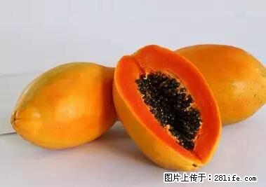 晕车、脚气、牙齿变黄、皮肤粗糙?学会这些三分钟搞定! - 漳州生活资讯 - 漳州28生活网 zhangzhou.28life.com