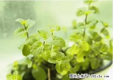 晕车、脚气、牙齿变黄、皮肤粗糙?学会这些三分钟搞定! - 漳州生活资讯 - 漳州28生活网 zhangzhou.28life.com
