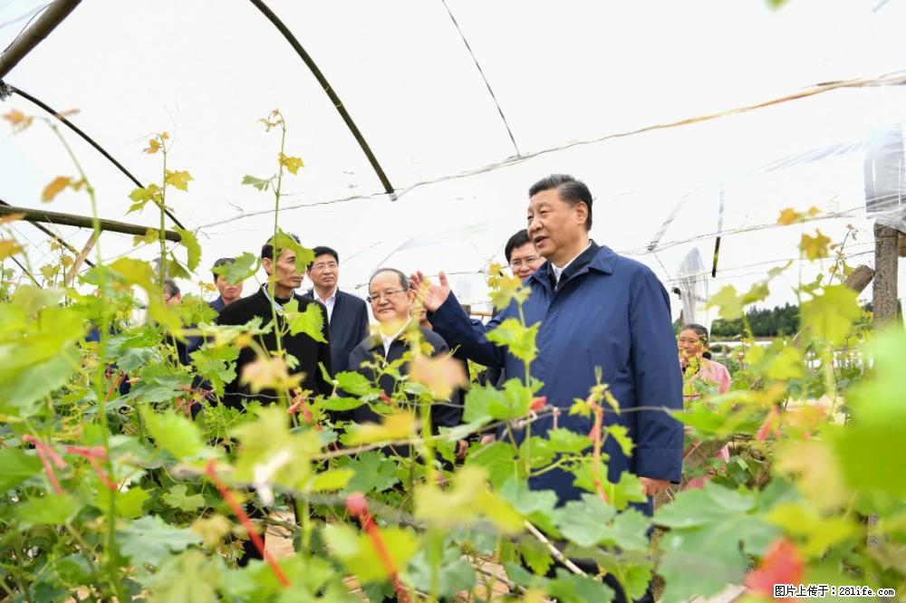 习近平赴广西考察调研 - 漳州生活资讯 - 漳州28生活网 zhangzhou.28life.com