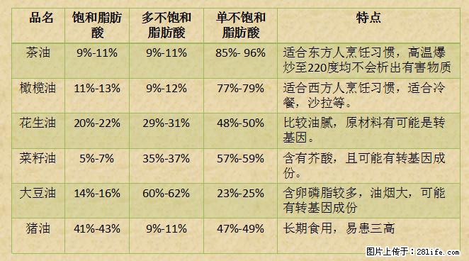 揭秘茶油的5大核心营养成分!被称为人体健康的“守护盾”! - 漳州生活资讯 - 漳州28生活网 zhangzhou.28life.com