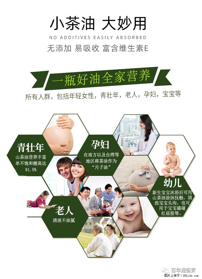 世界没有真相,只有认知,最好的食用油是中国的山茶油! - 漳州生活资讯 - 漳州28生活网 zhangzhou.28life.com