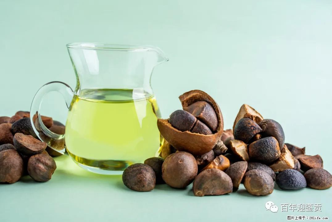 世界没有真相,只有认知,最好的食用油是中国的山茶油! - 漳州生活资讯 - 漳州28生活网 zhangzhou.28life.com