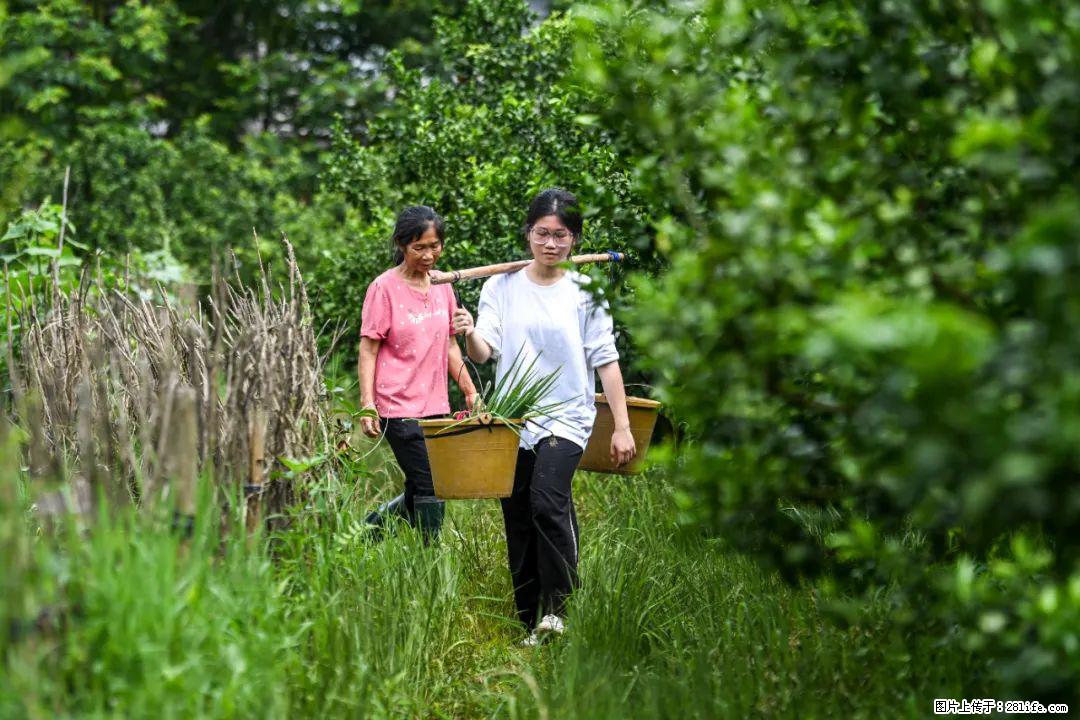 全网追的“扁担女孩”，找了一份暑假工，时薪12元 - 漳州生活资讯 - 漳州28生活网 zhangzhou.28life.com