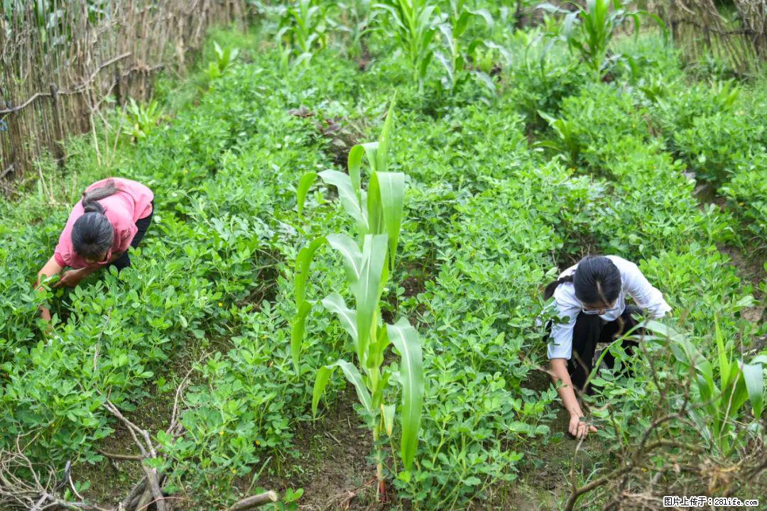 全网追的“扁担女孩”，找了一份暑假工，时薪12元 - 漳州生活资讯 - 漳州28生活网 zhangzhou.28life.com
