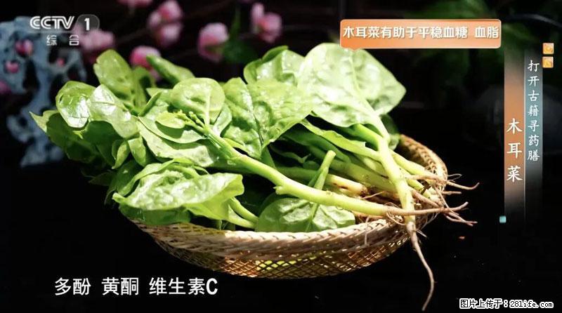 比牛奶补钙还厉害！凉血解毒、稳血糖...这菜冬天必吃，很多人却当草 - 漳州生活资讯 - 漳州28生活网 zhangzhou.28life.com