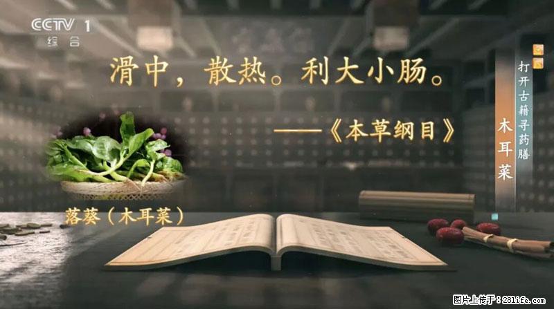 比牛奶补钙还厉害！凉血解毒、稳血糖...这菜冬天必吃，很多人却当草 - 漳州生活资讯 - 漳州28生活网 zhangzhou.28life.com