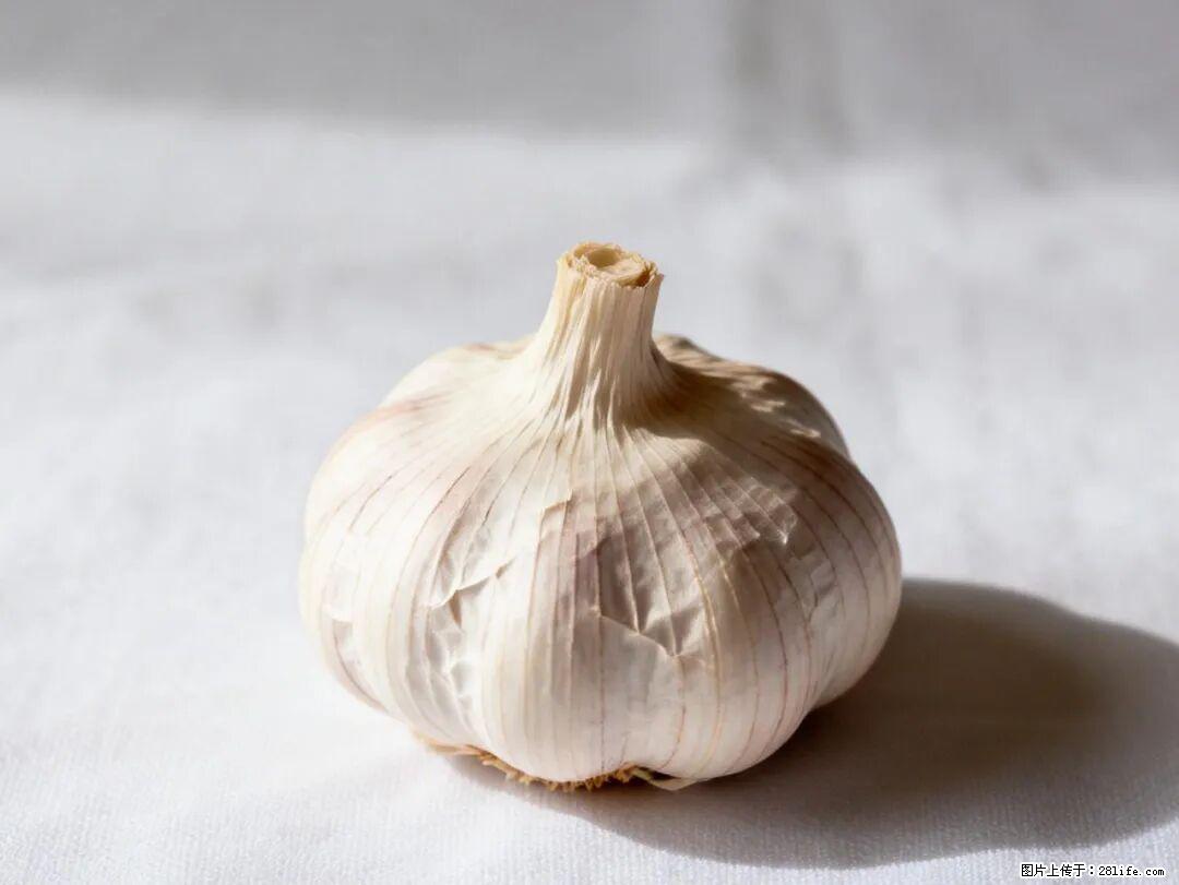 关于大蒜，除了“天然抗生素”，这4个谣言更该警惕! - 漳州生活资讯 - 漳州28生活网 zhangzhou.28life.com