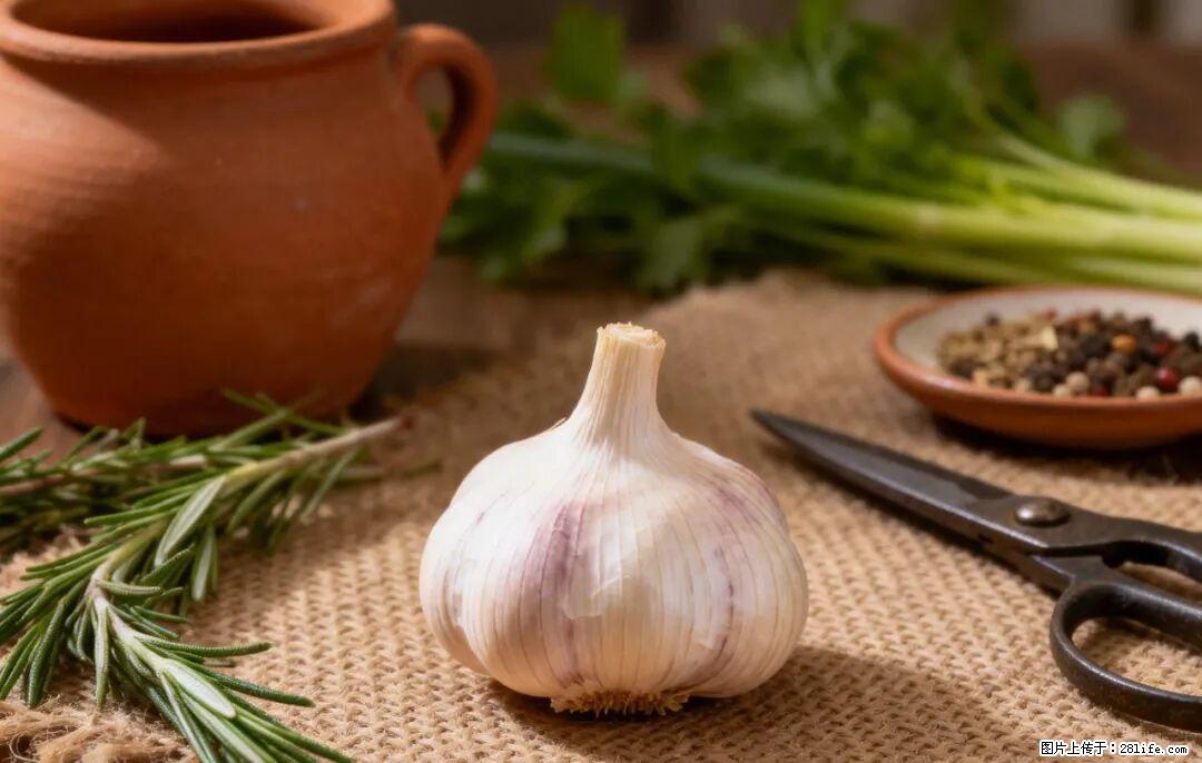 关于大蒜，除了“天然抗生素”，这4个谣言更该警惕! - 漳州生活资讯 - 漳州28生活网 zhangzhou.28life.com
