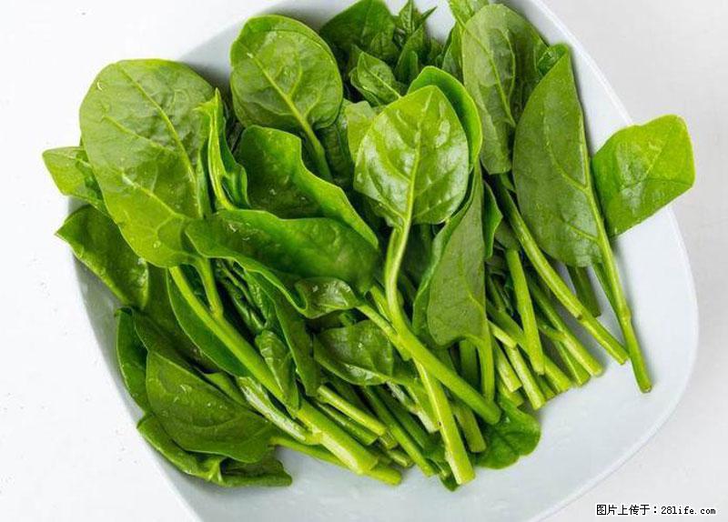 这些蔬菜是“天然钙片”，这6种被医生重点推荐 - 漳州生活资讯 - 漳州28生活网 zhangzhou.28life.com