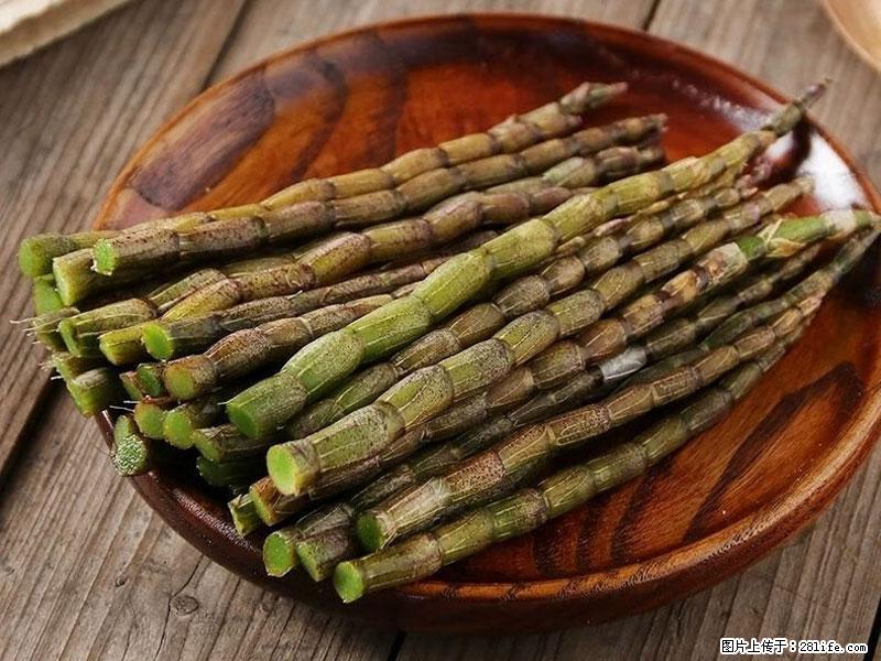 铁皮石斛的作用与功能主治 - 漳州生活资讯 - 漳州28生活网 zhangzhou.28life.com