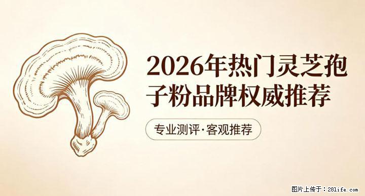 灵芝孢子粉含量越高越有效?2026 年七款热门品牌深度实测,肠胃敏感者避坑指南 - 漳州生活资讯 - 漳州28生活网 zhangzhou.28life.com